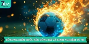 Bổ Sung Kiến Thức Kèo Bóng Đá Và Kinh Nghiệm Từ 7M 2 Bổ Sung Kiến Thức Kèo Bóng Đá Và Kinh Nghiệm Từ 7M