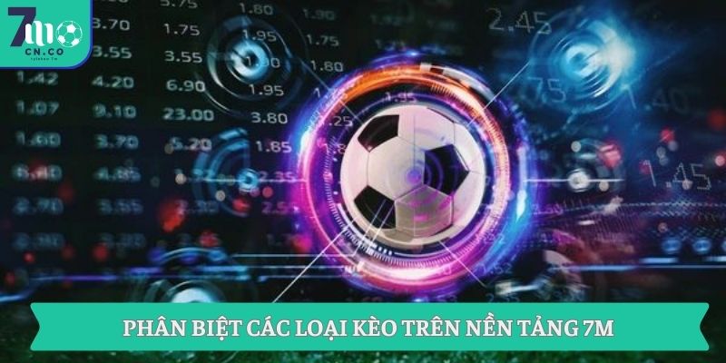 Phân biệt các loại kèo trên nền tảng 7M