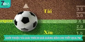 Giới Thiệu Và Giải Thích Giá Giảng Kèo Chi Tiết Qua 7m 1 Giới Thiệu Và Giải Thích Giá Giảng Kèo Chi Tiết Qua 7m