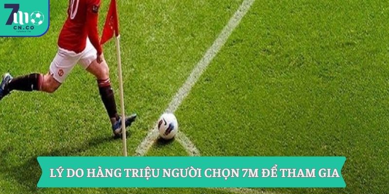 Lý do hàng triệu người chọn 7m để tham gia